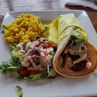 Falafel, comes with rice and salad. Garlic dressing was delicious! at Sluggo Brewing Tap & Kitchen in Tacoma