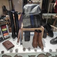 Beau at NAE Vegan Shoes in Lisbon