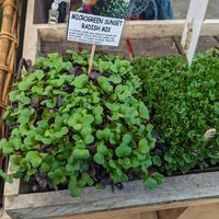  at Chantal Organics - Restaurant in Napier