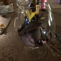 Blackberry mouse with dark chocolate. Vegan, and amazing at Cor de Tangerina in Guimaraes