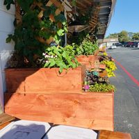 Outdoor seating  at Julia's Vegetarian Restaurant in Pacific Grove