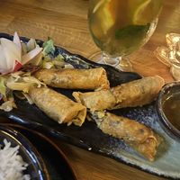 Vegan spring rolls  at Quê Choa in Berlin