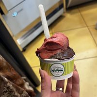   at Gelateria La Carraia in Florence