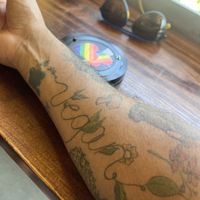   at Bouldin Creek Cafe in Austin