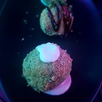  at Guakame Street Food in Valencia