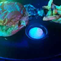  at Guakame Street Food in Valencia