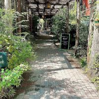 Super cool walkway   at Casa de Luz in Austin