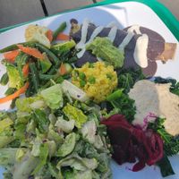 Close up of my meal at Casa de Luz in Austin