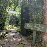 Rain Path at Casa de Luz in Austin