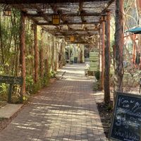   at Casa de Luz in Austin