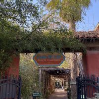   at Casa de Luz in Austin