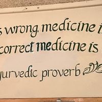   at Casa de Luz in Austin