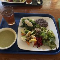 Soup, iced tea, and platter with grains/legumes/salad/veggies  at Casa de Luz in Austin