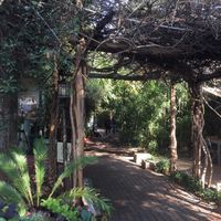 Casa de Luz is a beautiful, peaceful oasis. at Casa de Luz in Austin