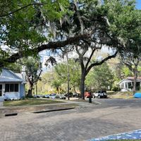 Spanish moss vibes   at Eola General in Orlando