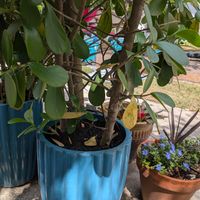 Outdoor Seating at Eola General in Orlando