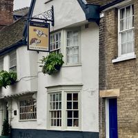 Dog friendly pub  #Veganuary at Dog & Partridge in Bury St Edmunds