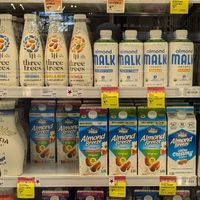 non-dairy milk at New Seasons Market - Woodstock in Portland