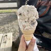 Mad monkey in wafer cone  at Ferris Acres Creamery in Newtown