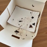 Sorry, no photo! It was too delicious!  at Cakes & Dreams in Swinoujscie