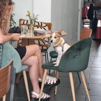 All beings are treated equally 🤭 at Venn Canteen in Porto