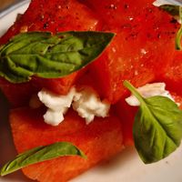  at Venn Canteen in Porto