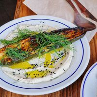  at Venn Canteen in Porto