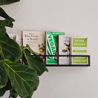  at Venn Canteen in Porto