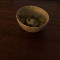   at Venn Canteen in Porto