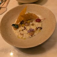  at Venn Canteen in Porto