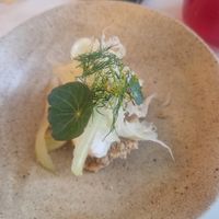  at Venn Canteen in Porto