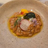  at Venn Canteen in Porto