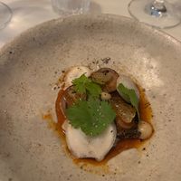  at Venn Canteen in Porto