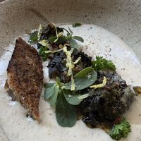   at Venn Canteen in Porto