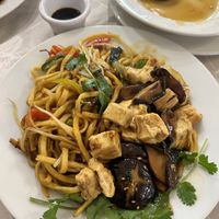 Shiitake Mushrooms and Tofu in Vegan Oyster Sauce (with noodles)  at Pumpernickel Coffee Shop in Dumfries