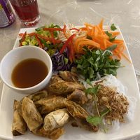 Spring rolls with rice noodles and salad  at Pumpernickel Coffee Shop in Dumfries
