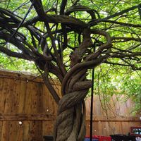 Interiors 🌱 at Le Cachotier in Carcassonne