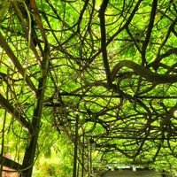  at Le Cachotier in Carcassonne