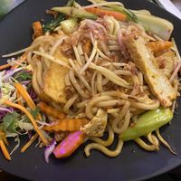 Udonnudeln mit Gemüse und Tofu   at Viet Pho in Elmshorn