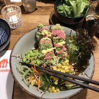 Pagoda Bowl  at Udum in Cologne