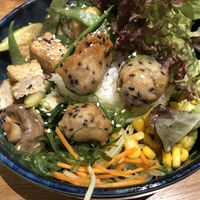 Sala Bowl at Udum in Cologne