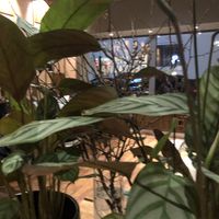 Beautiful ambience   at Udum in Cologne