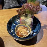 “Sommerrolle”: Summer rolls made with rice paper, filled with tofu, rice noodles, salad and herbs, served with a peanut hoisin sauce  at Udum in Cologne