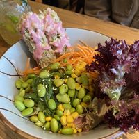 Pagoda Bowl  at Udum in Cologne
