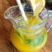 Descendant of the sun  at Udum in Cologne