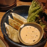 Gyoza (6) at Udum in Cologne