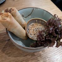 Frühlingsrollen at Udum in Cologne