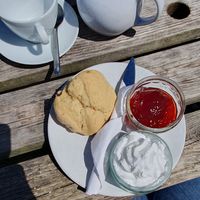 Vegan afternoon tea 🫖 at Town Farmhouse in Woolacombe