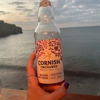 Vegan Cornish berry cider! With amazing outdoor seating with sea view 😍🌊 at Schooners in St Agnes