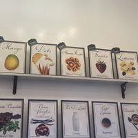 Opciones veganas   at Tondi Gelato in Santa Barbara